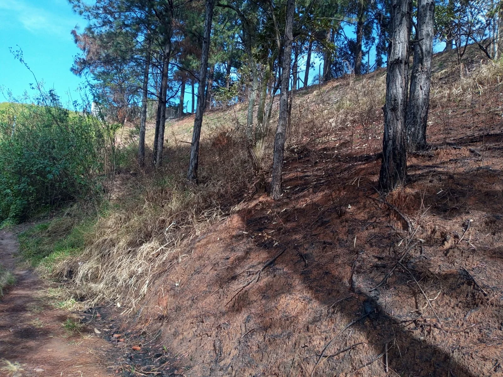 Área à venda na Vila Rosina Caieiras