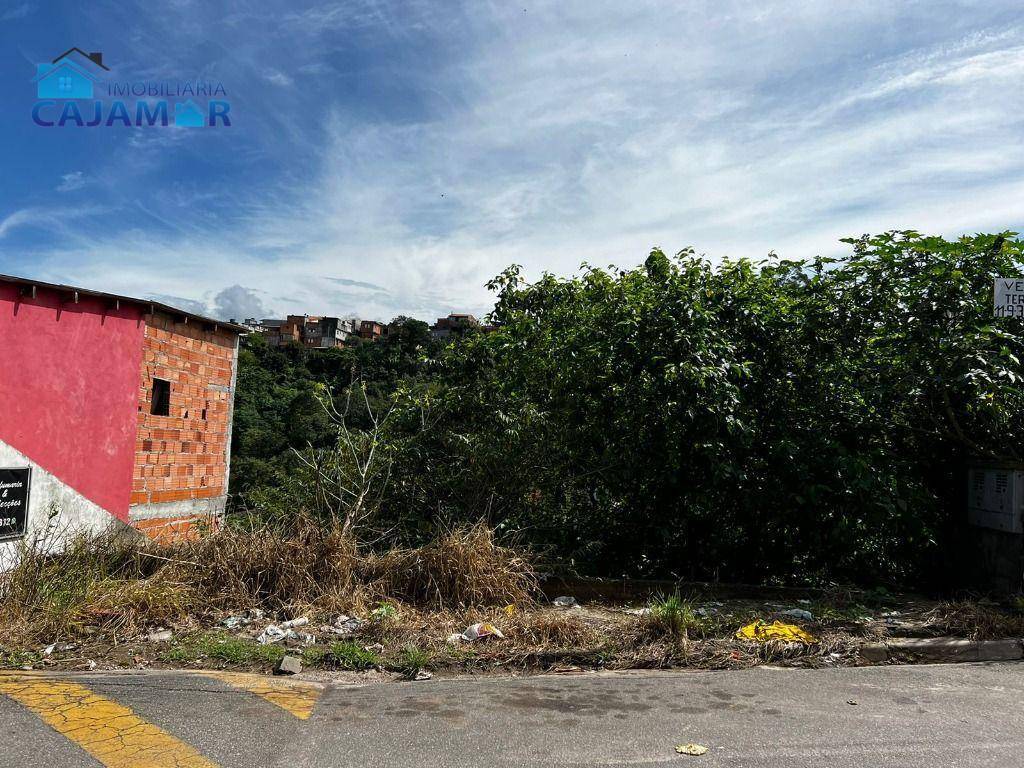 Terreno à venda, 300 m² por R$ 200.000 - Chácara do Solar II (Fazendinha) - Santana de Parnaíba/SP