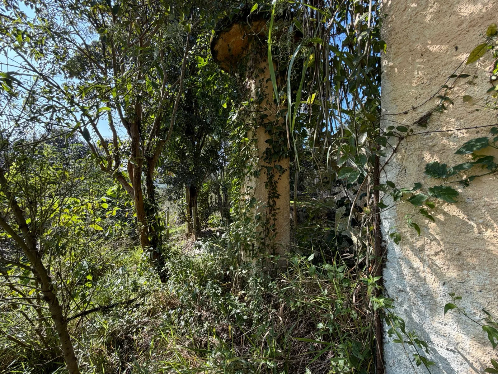 Terreno à venda no Ponunduva